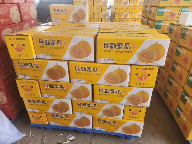 甘肃民勤金红宝蜜瓜，电商一件代发，品质保证，实力靠谱！
