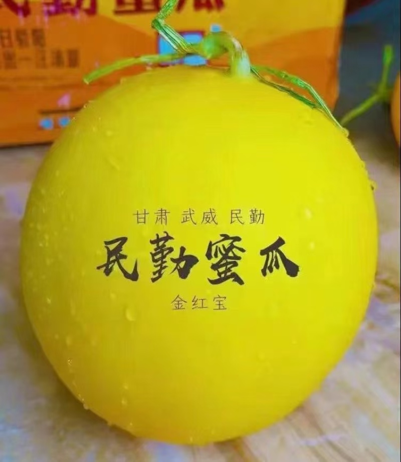甘肃民勤蜜瓜，黄河蜜，大量上市中，专业代办，实力靠谱