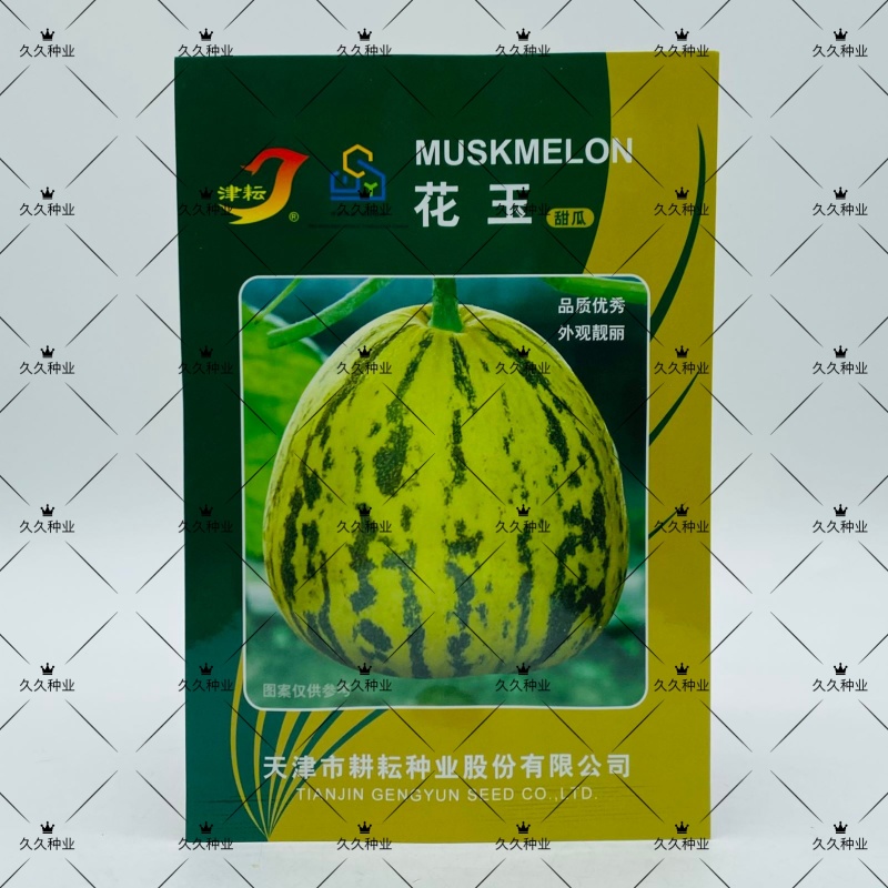 花玉花皮甜瓜种子丰产抗病高品质蔬菜种薄皮绿肉花色