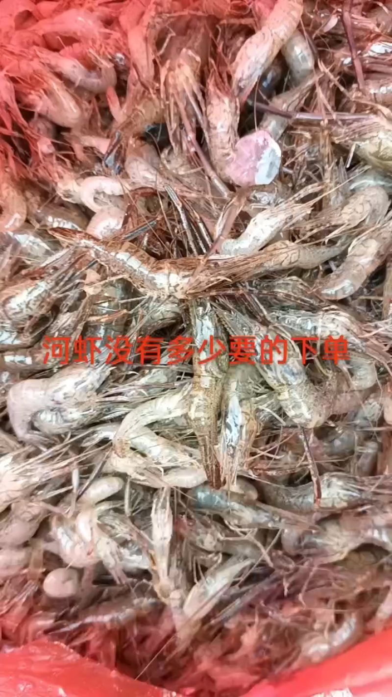 大河虾