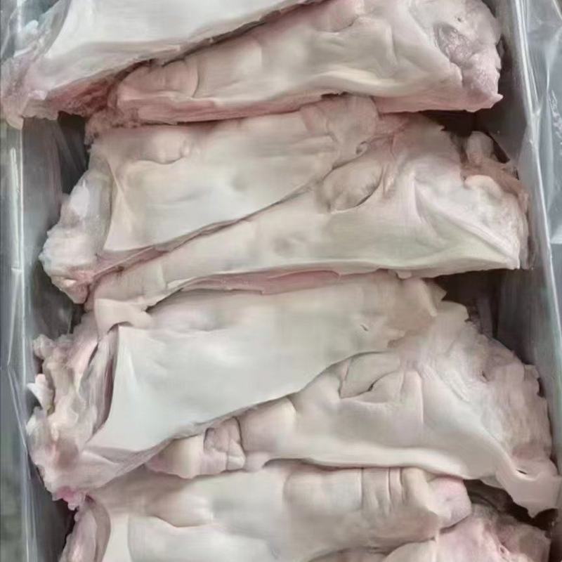 猪头