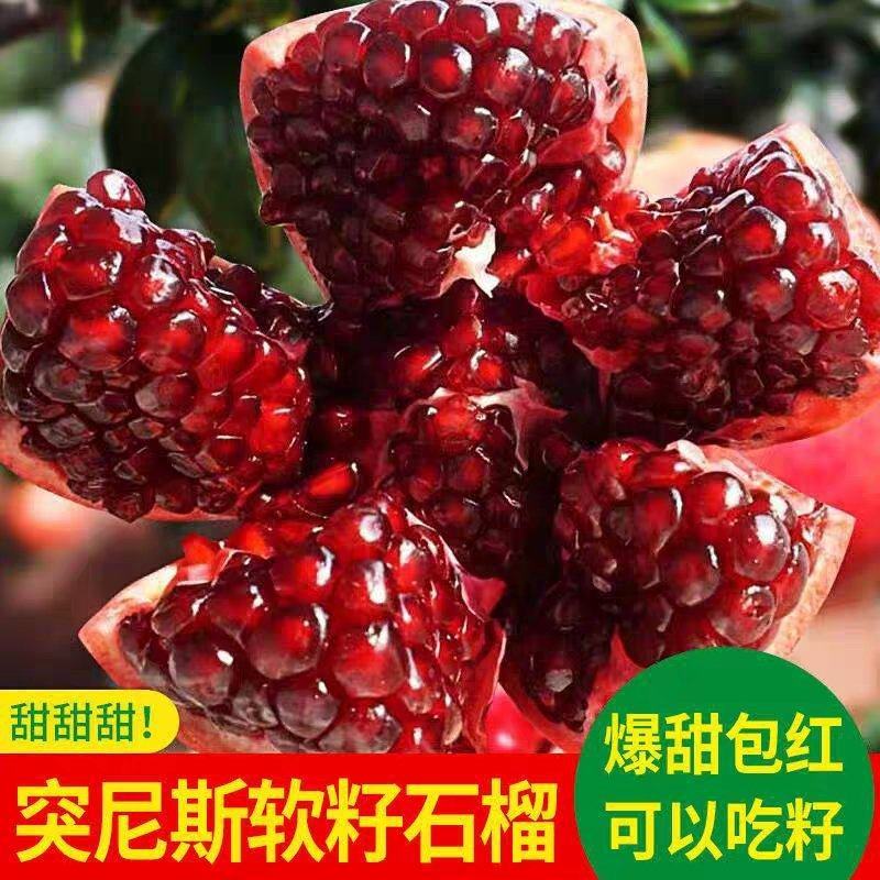 2025年突尼斯软籽石榴代办