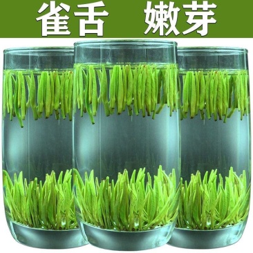 【现货批发】湄潭雀舌春茶绿茶叶2024新茶头采嫩芽浓香型