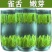 【现货批发】湄潭雀舌春茶绿茶叶2024新茶头采嫩芽浓香型