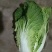 大白菜