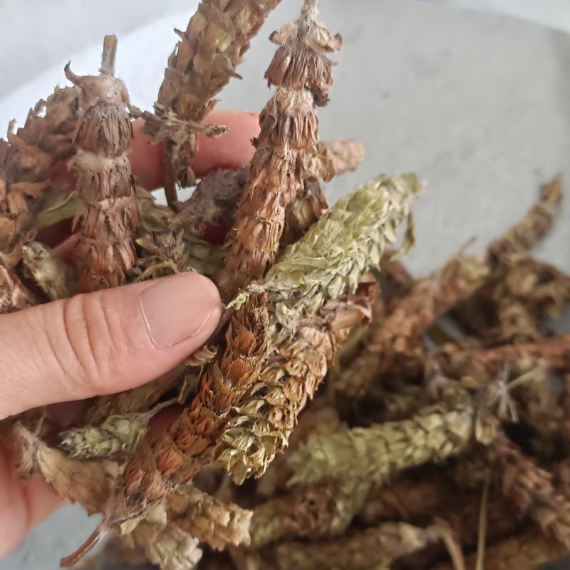 夏枯球，新货无杆，产量直发，大货供应，量大从优