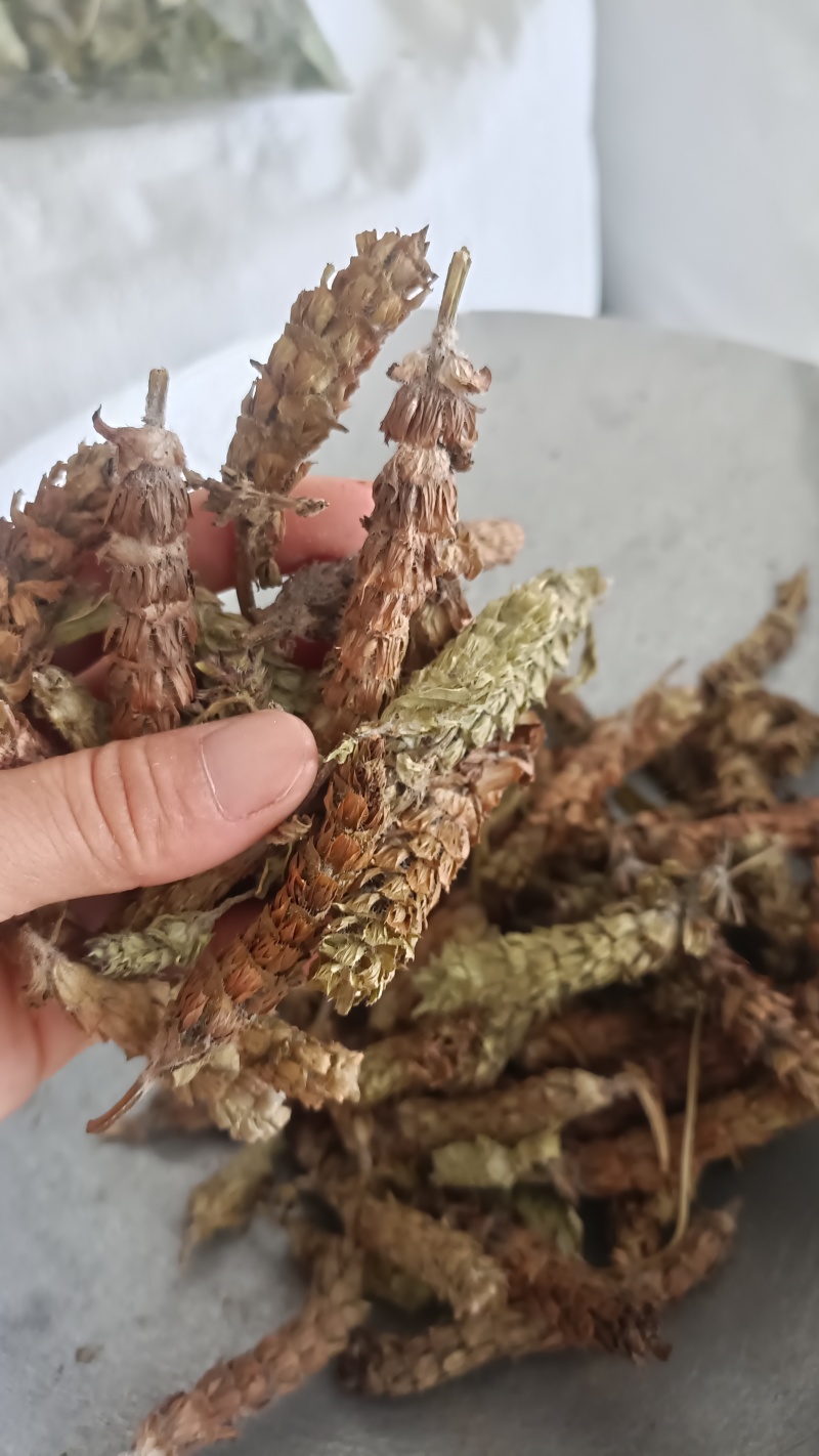 夏枯球，新货无杆，产量直发，大货供应，量大从优