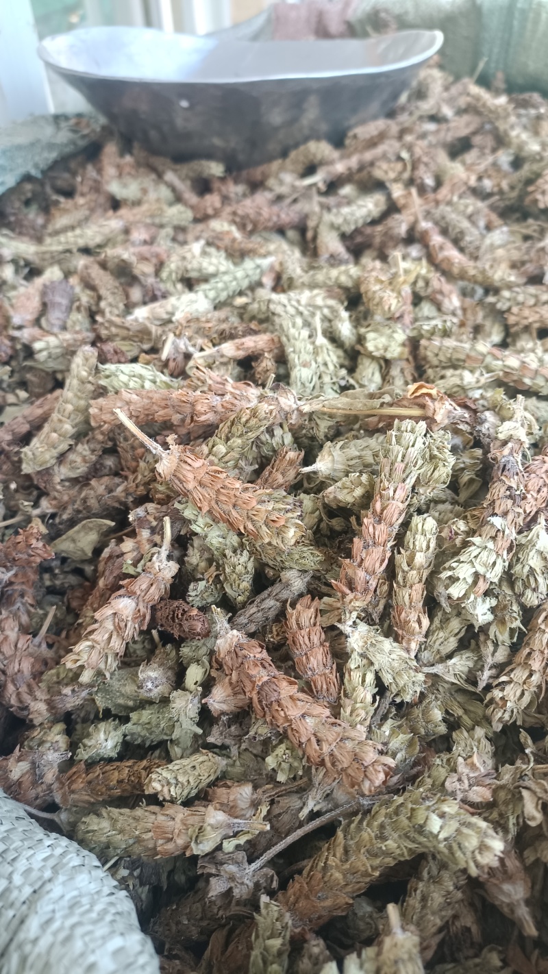 夏枯球，新货无杆，产量直发，大货供应，量大从优