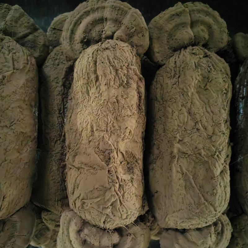 灵芝菇一手货源量大质优价格优惠欢迎咨询采购
