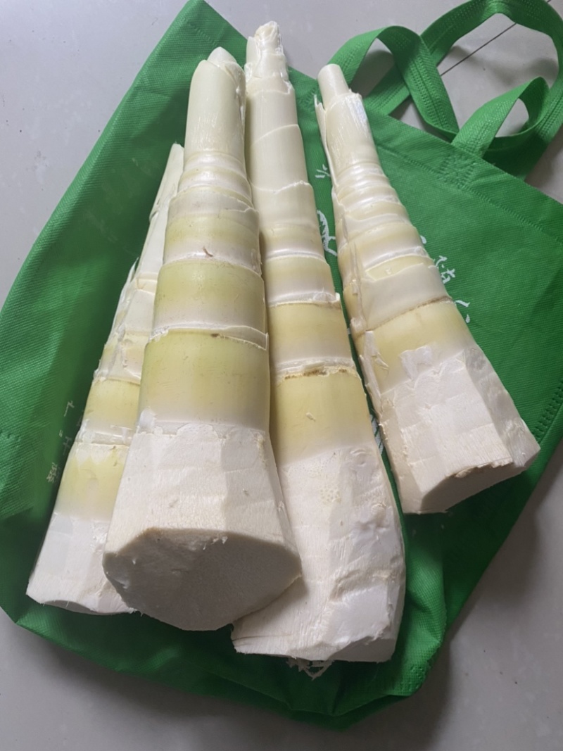 广西现挖现发新鲜野生大头竹笋麻竹笋蔬菜甜笋螺蛳粉酸笋