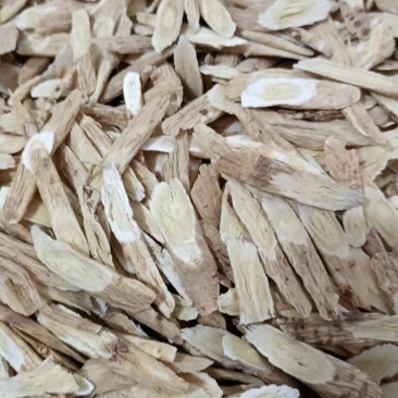 甘肃黄芪，各种规格齐全，大货供应商