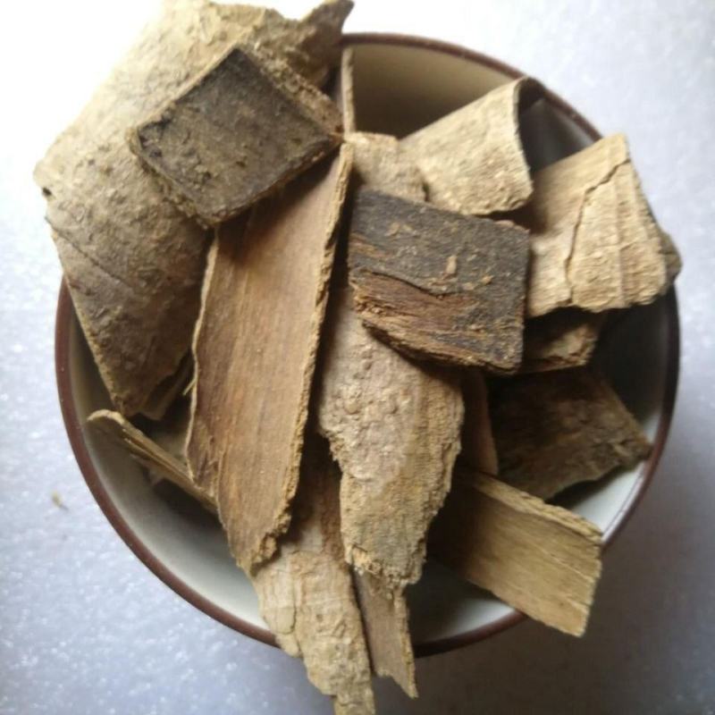 中药材鸭脚木鸭脚木皮鹅掌柴