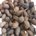 云南草果优质香料调味料炖肉卤肉煮火锅料调味料