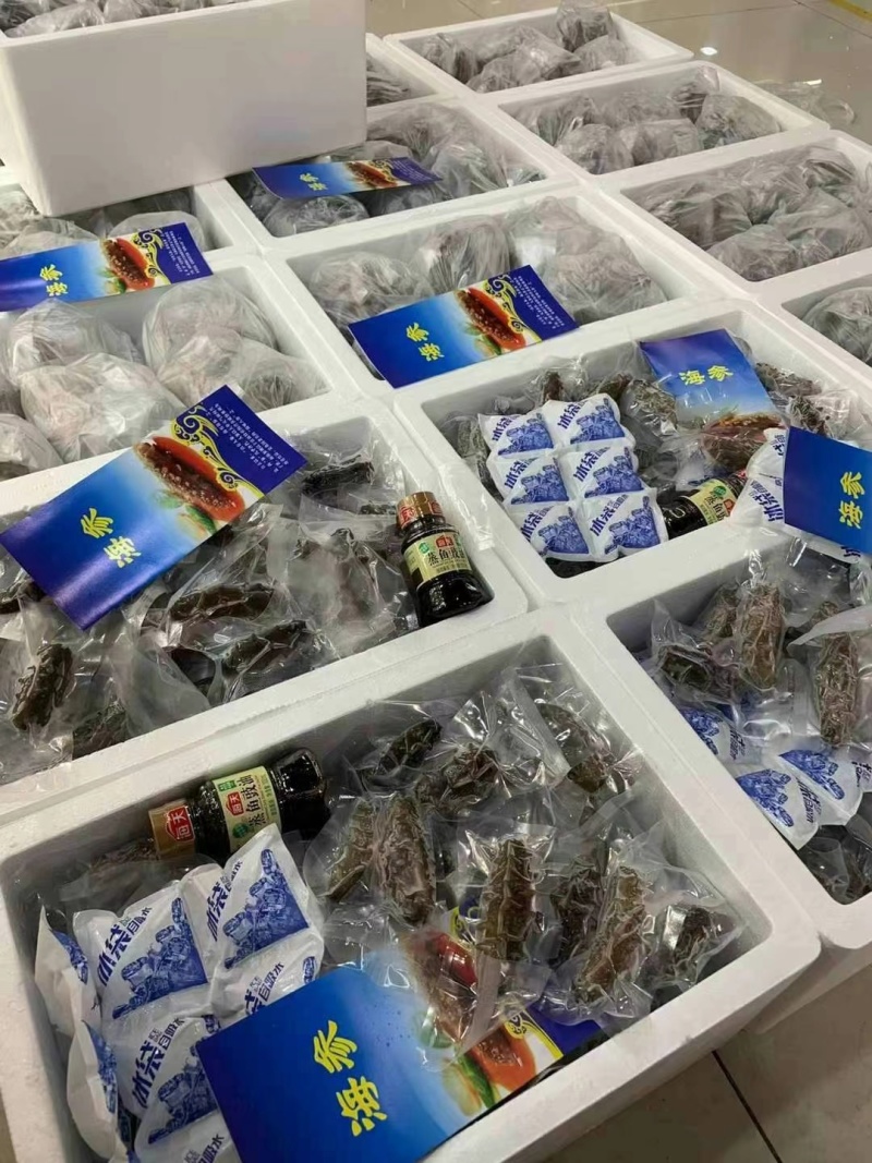 鲜食海参辽参高刺100根整箱批发