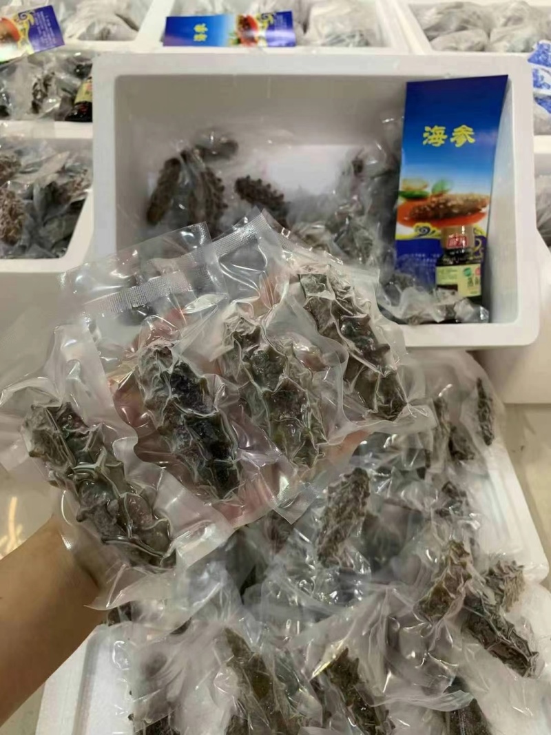鲜食海参辽参高刺100根整箱批发