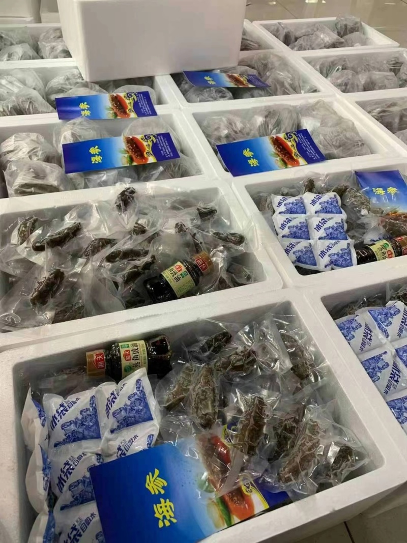 鲜食海参辽参高刺100根整箱批发