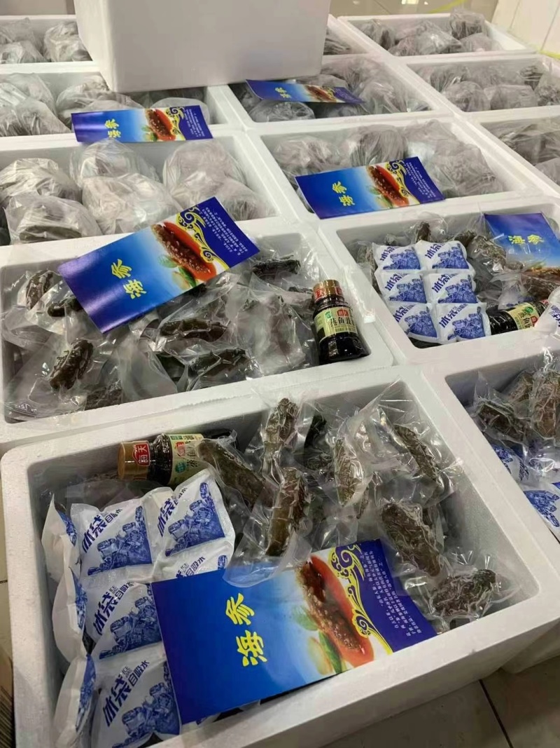 鲜食海参辽参高刺100根整箱批发