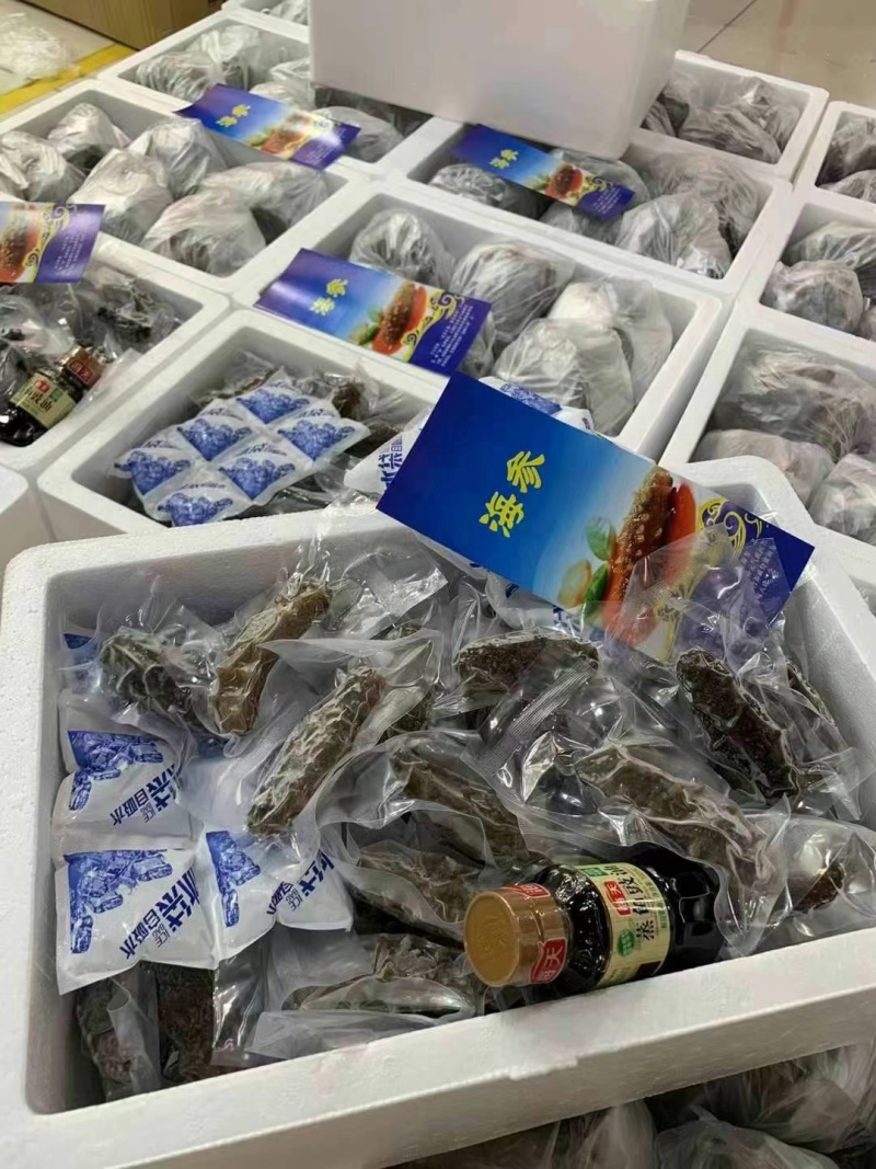 鲜食海参辽参高刺100根整箱批发