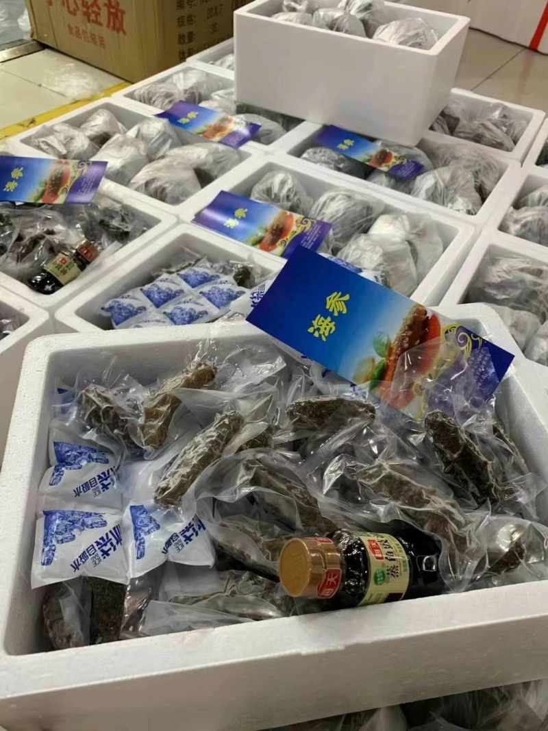 鲜食海参辽参高刺100根整箱批发