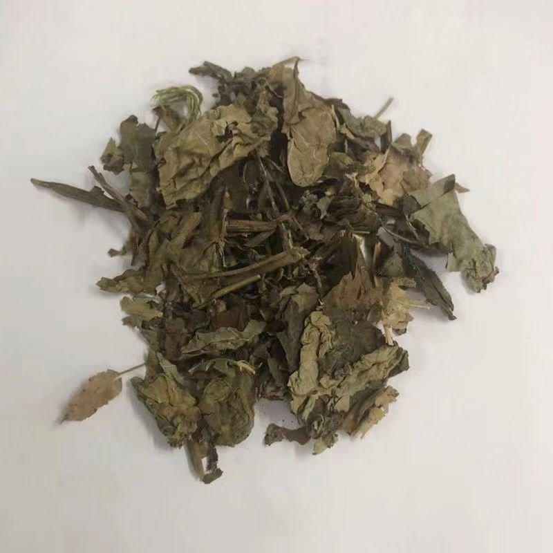 中药材梧桐叶臭梧桐叶