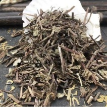 中药材凉粉草,仙人草,仙烧草,烧仙草