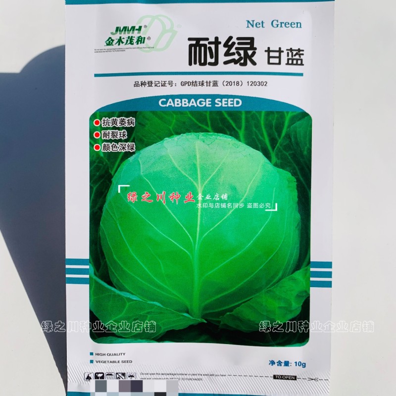 绿叶黄心甘蓝菜种籽耐绿甘蓝种子耐裂球中心柱短抗病圆包菜