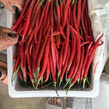 红线椒