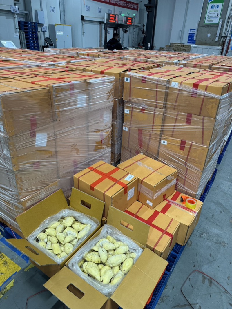 电商金枕B果肉拼多多可用金枕肉榴莲肉金枕果肉