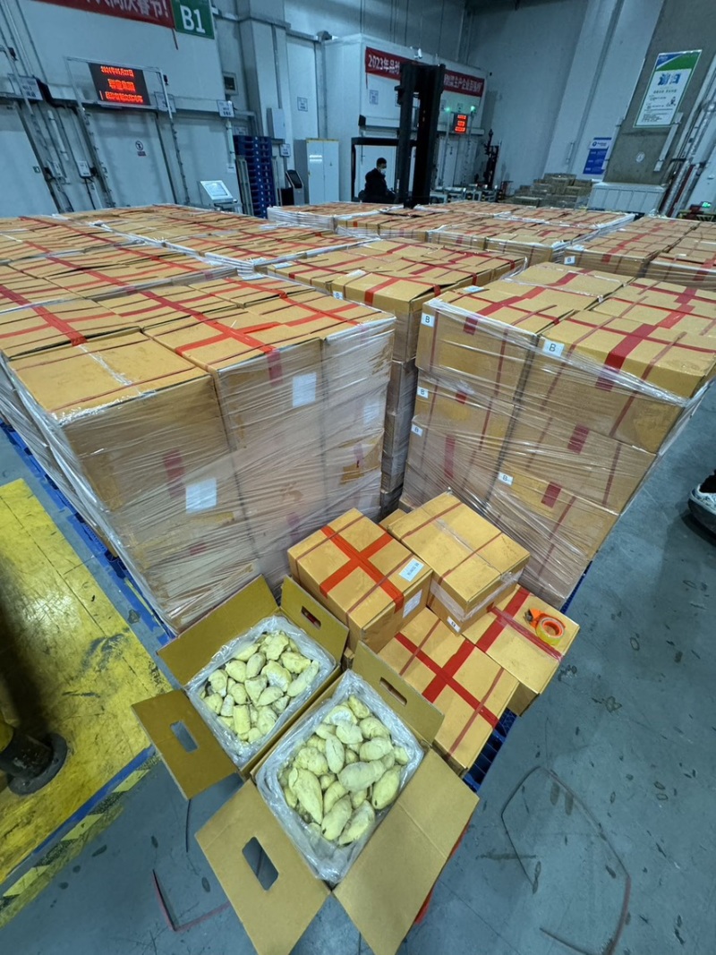 电商金枕B果肉拼多多可用金枕肉榴莲肉金枕果肉