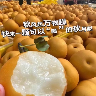 秋月梨
