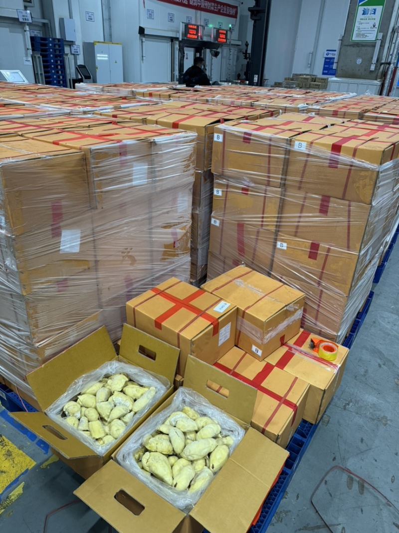 电商金枕B果肉拼多多可用金枕肉榴莲肉金枕果肉