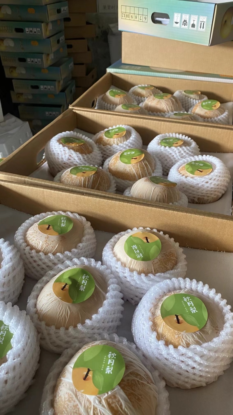 秋月梨