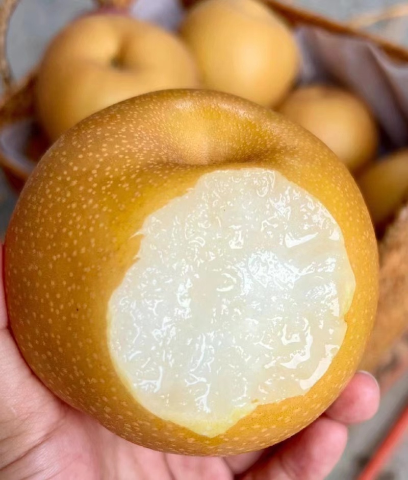 秋月梨