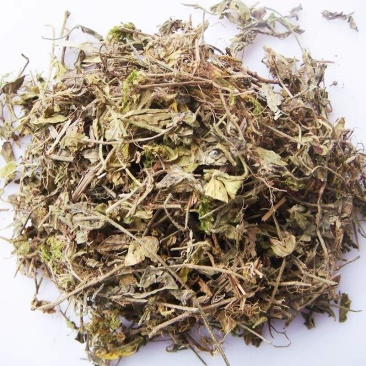 黄毛耳草黄毛儿草老虎草虎儿草中药材黄毛耳草