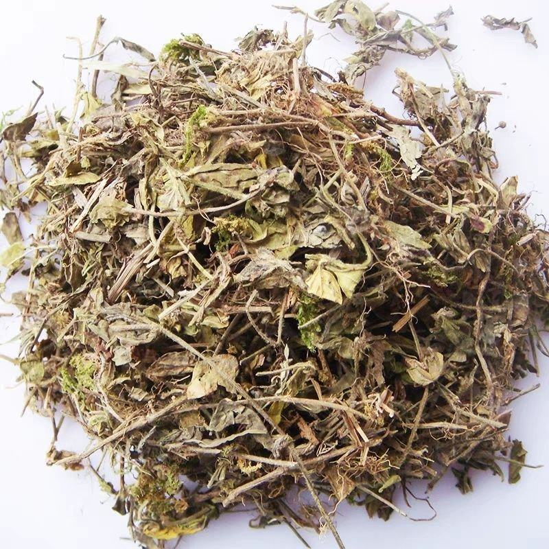 黄毛耳草黄毛儿草老虎草虎儿草中药材黄毛耳草