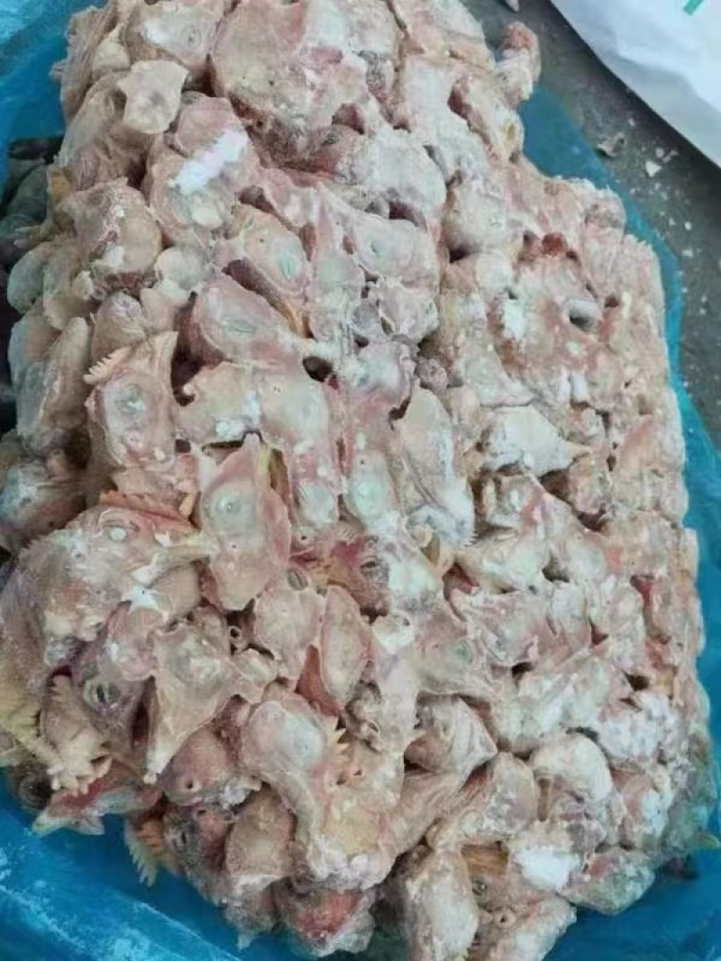 鸡头肉食817鸡头常年有货全国冷链物流配送