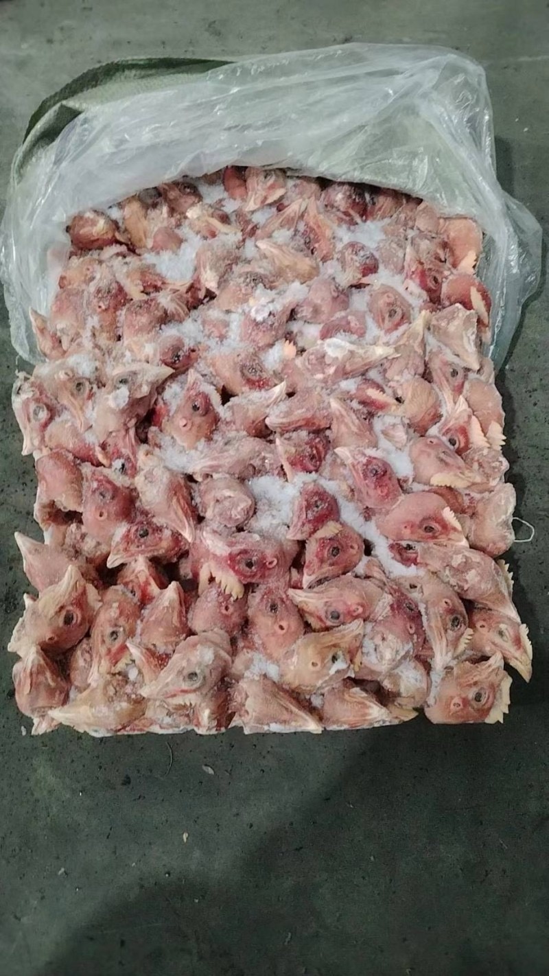 鸡头肉食817鸡头常年有货全国冷链物流配送