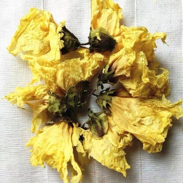 中药材黄蜀葵花