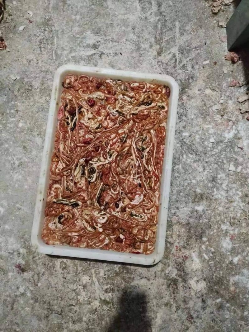 鸡肠子干冻板鸡肠常年生产全国物流冷链发货