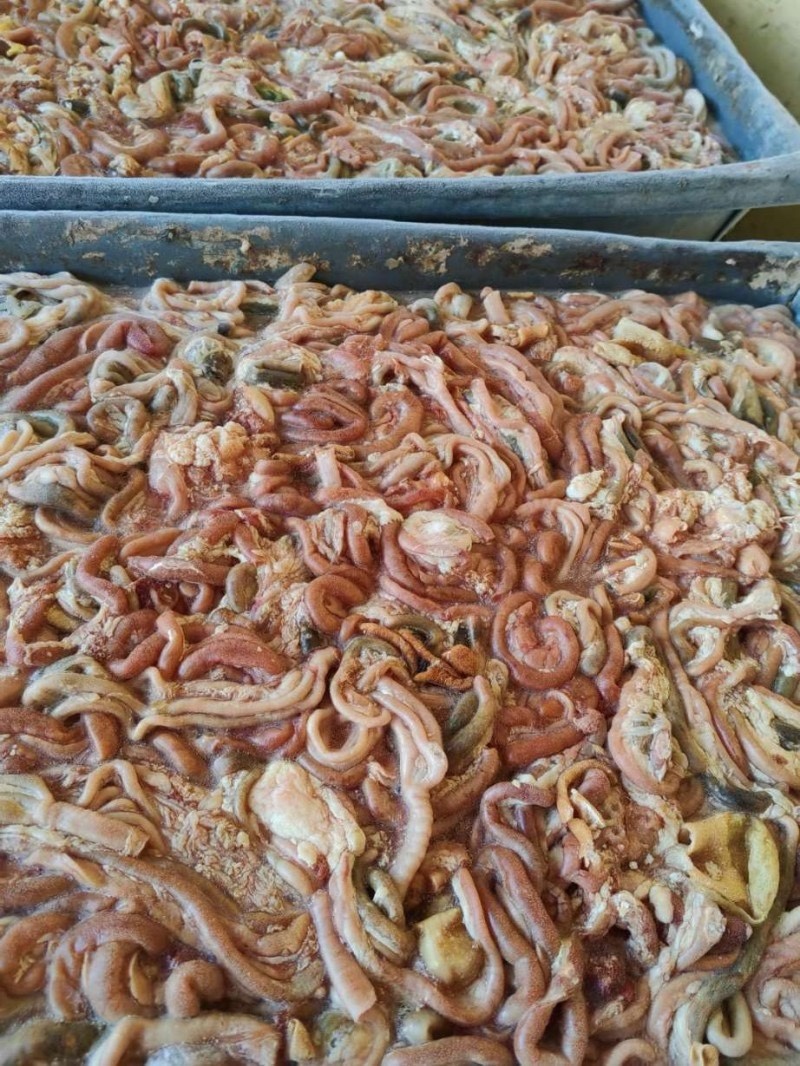鸡肠子干冻板鸡肠常年生产全国物流冷链发货