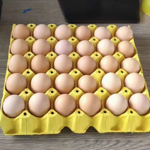 鸡蛋，粉壳鸡蛋，富硒鸡蛋。