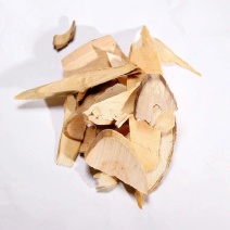 中药材接骨木