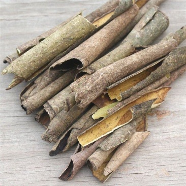 救必应薄皮救必应别名:白木香白银树皮九层皮