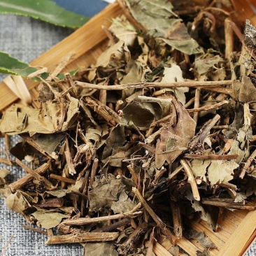常春藤中药材店铺草药大全常春藤三角风追风藤上树蜈蚣钻天风