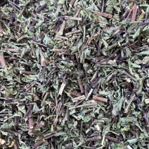 中药材猫须草猫须草茶化石草云南正品猫须公
