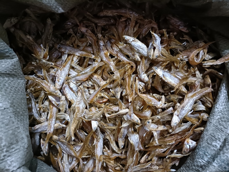 毛刀鱼干