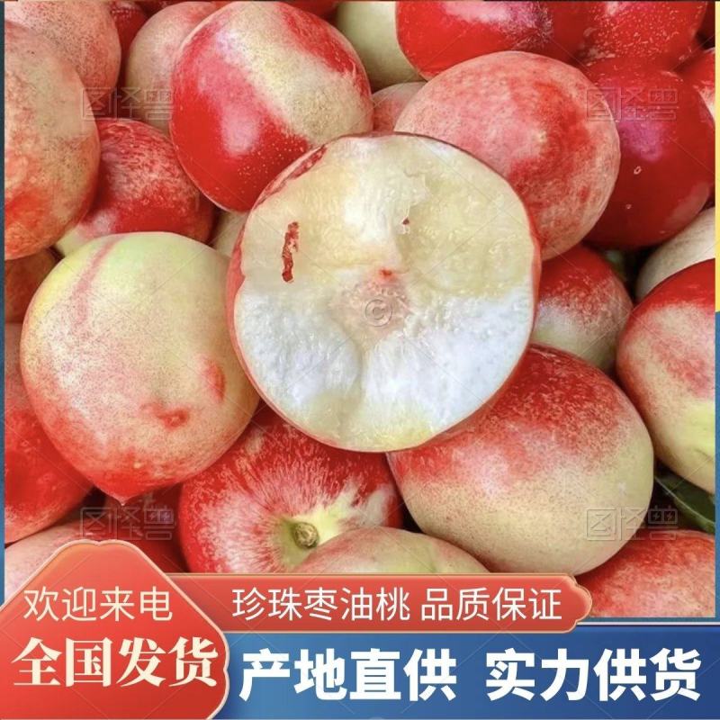 珍珠枣油桃产地直供现摘现发品质保证价格优惠全国发货