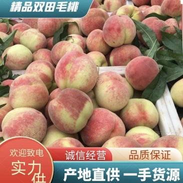 山西双田毛桃产地看货大量上市品质保证价格优惠全国发货