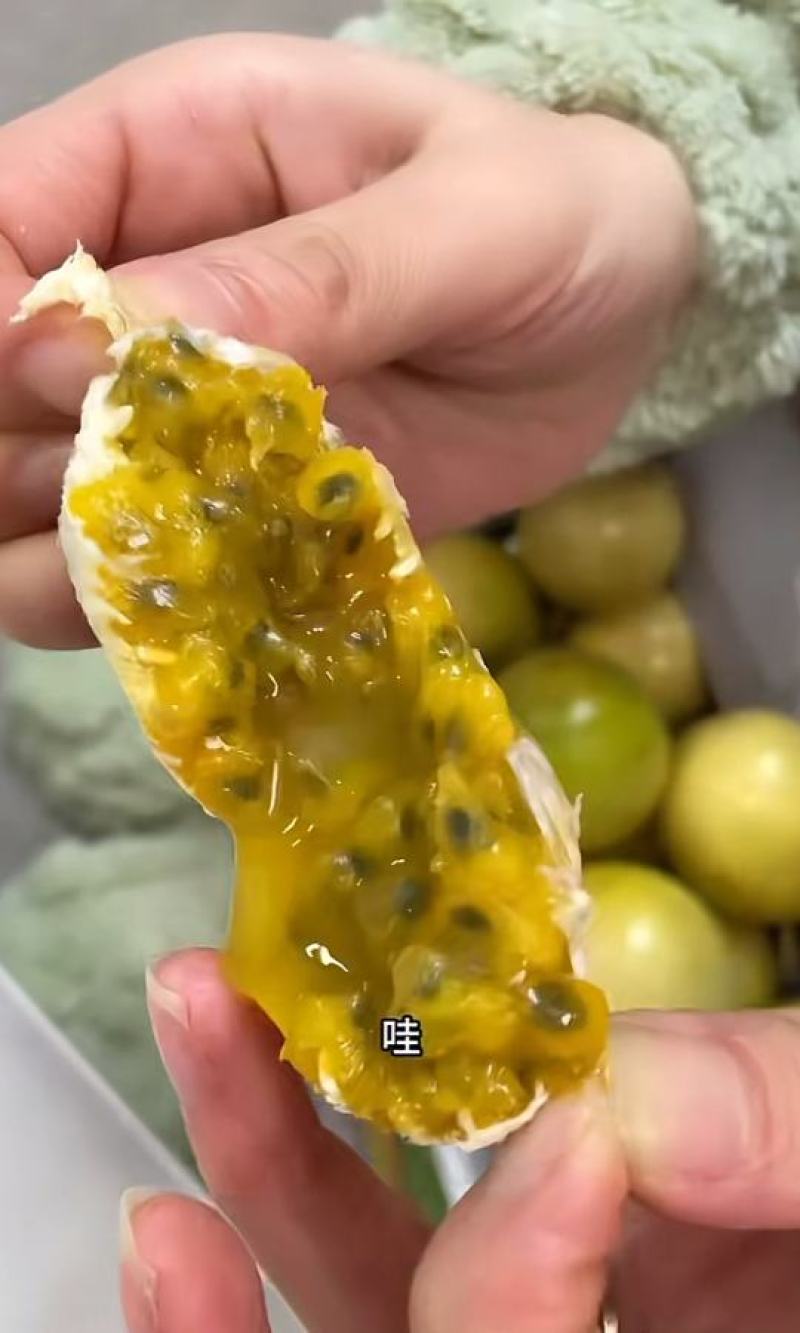 《钦蜜9号》黄金百香果/两广百香果/海南产地货源整车批发