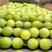 《钦蜜9号》黄金百香果/两广百香果/海南产地货源整车批发
